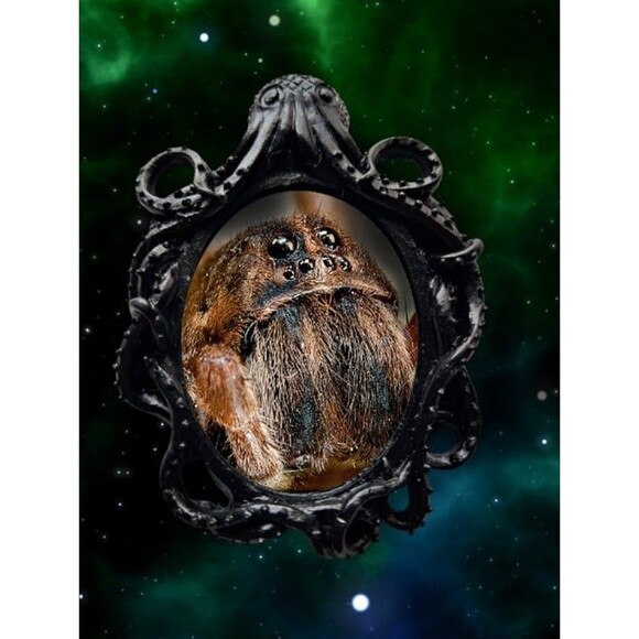 Spider Magnet - Creepy Crawly Gothic Oddity - Picture 1 of 1